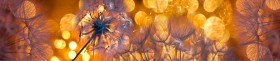 Кухонный фартук Мерцание Одуванчики золотистые 3 серебро в Белгороде - belgorod.katalogmebeli.com | фото